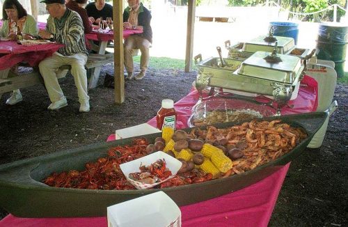 Jean Lafitte Swamp Tours