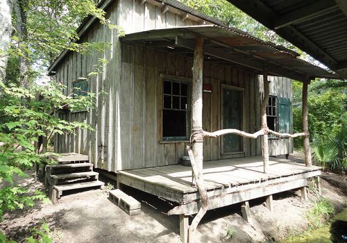 Jean Lafitte Swamp Tours