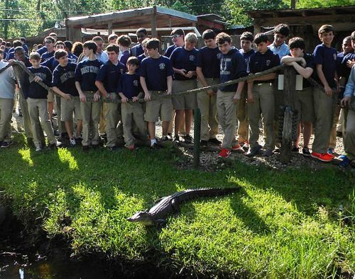 Jean Lafitte Swamp Tours