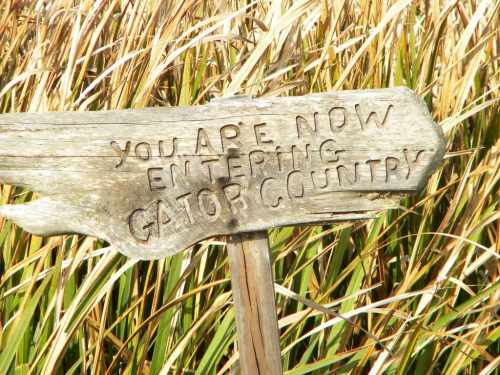 Jean Lafitte Swamp Tours