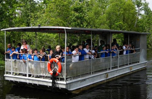 Jean Lafitte Swamp Tours