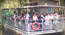 lafayette airboat tours