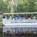 Jean Lafitte Swamp Tours