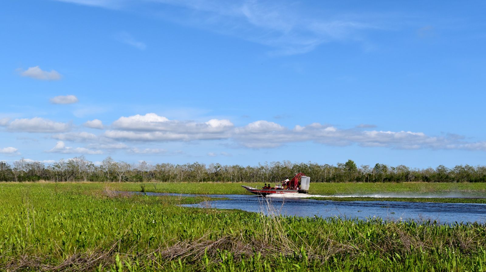 airboat tour