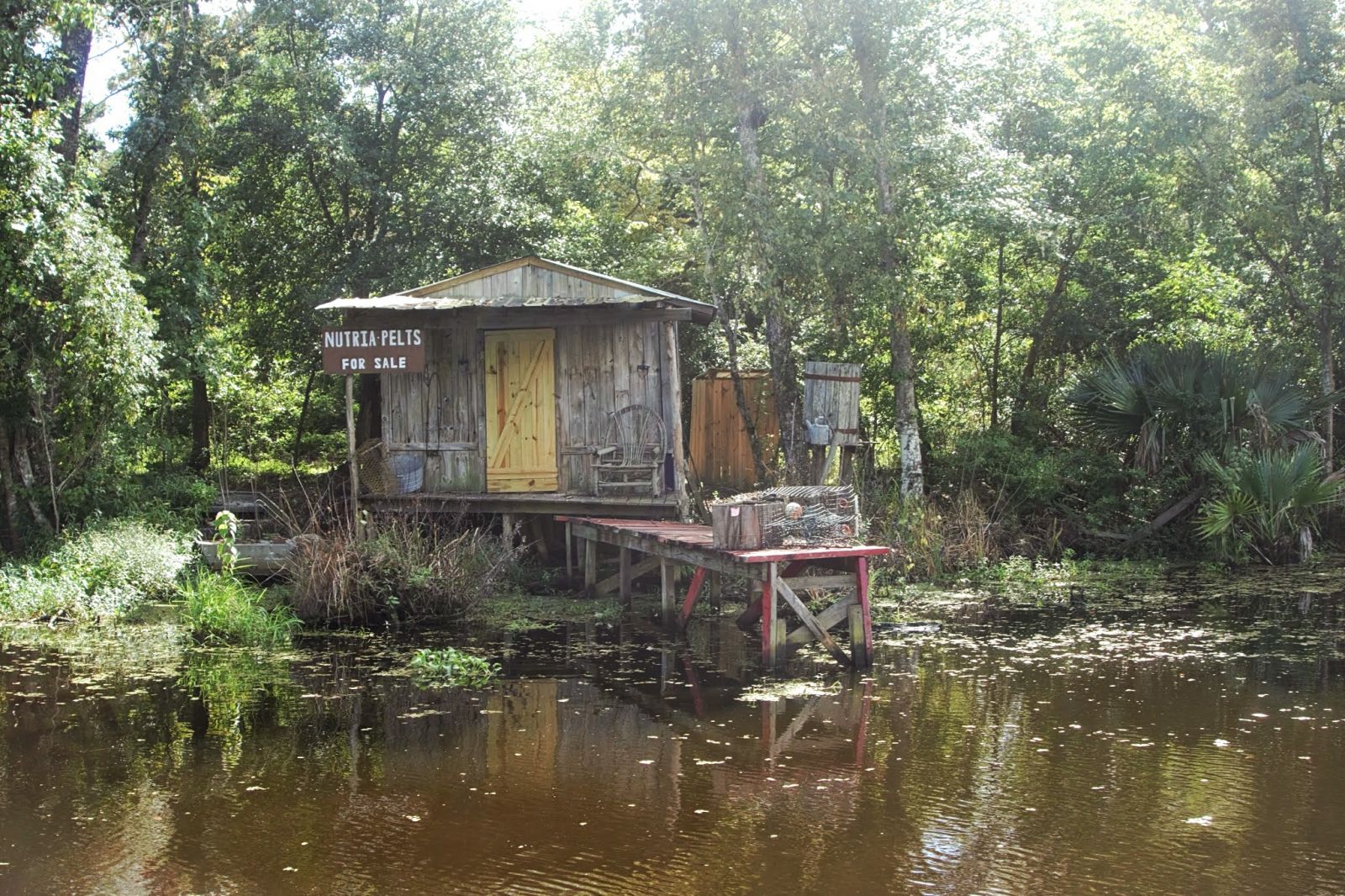 swamp cabin louisiana