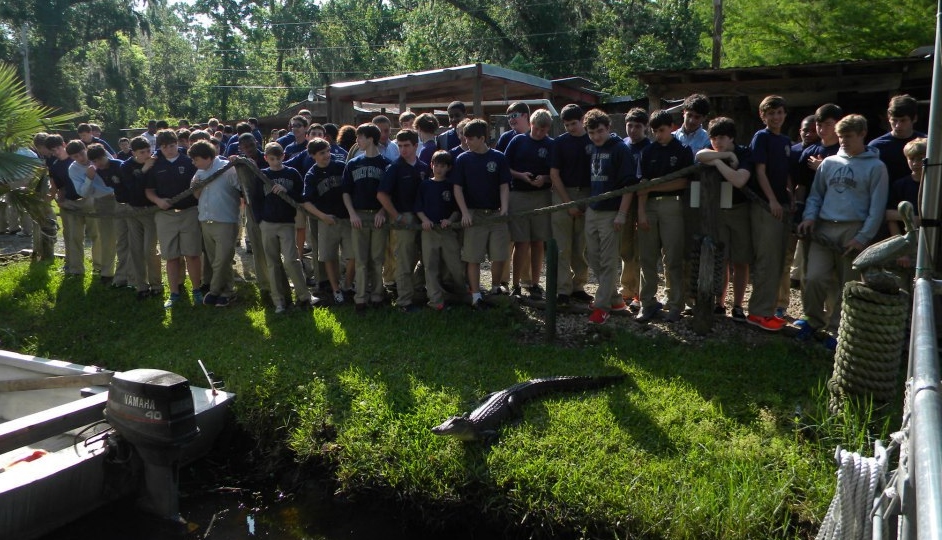 new orleans swamp tour